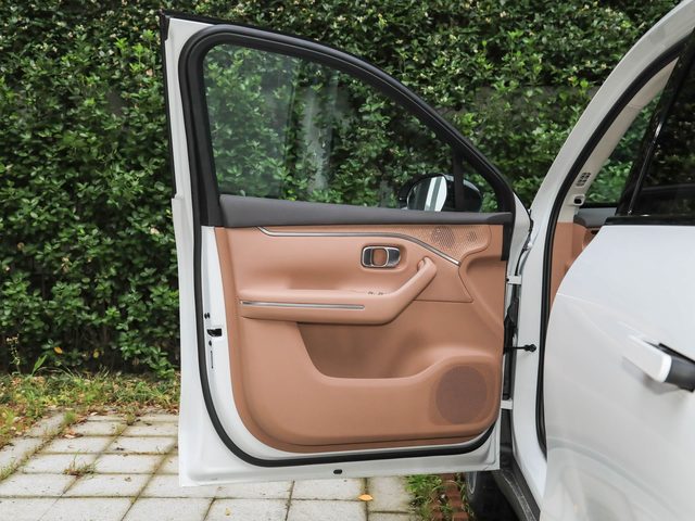 Leapmotor C16 — карта передней двери